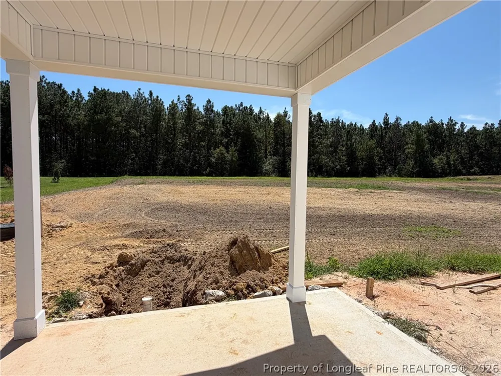 321 Thorntons Creek Drive Erwin, NC 28339