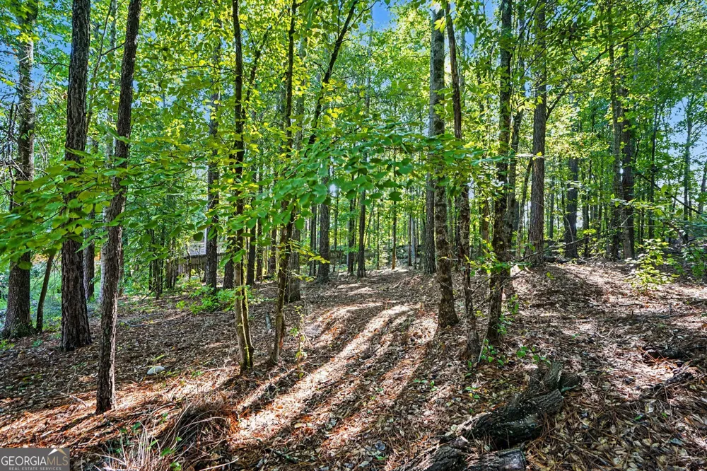 160 Brittany LN Senoia, GA 30276