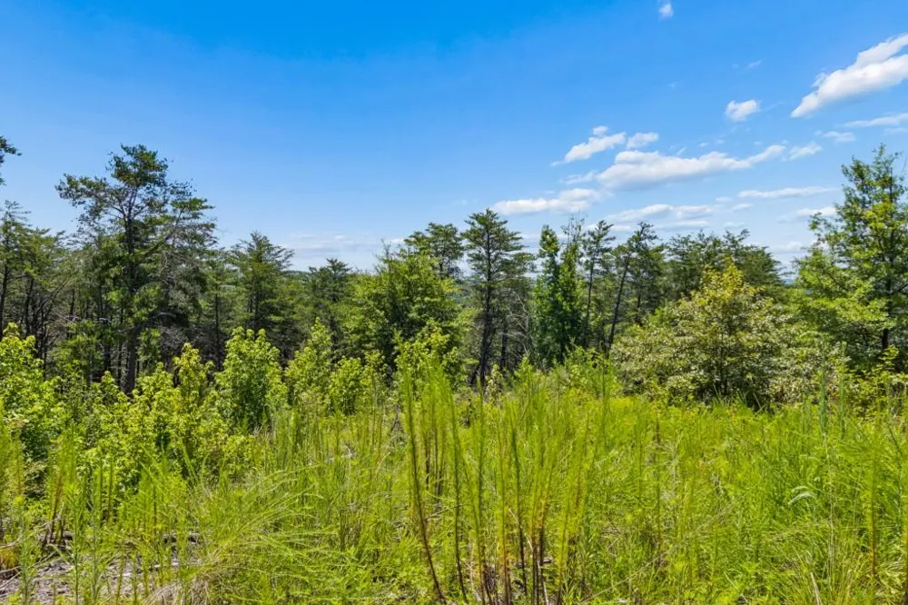 2709 Jamerson Road Marietta, GA 30066