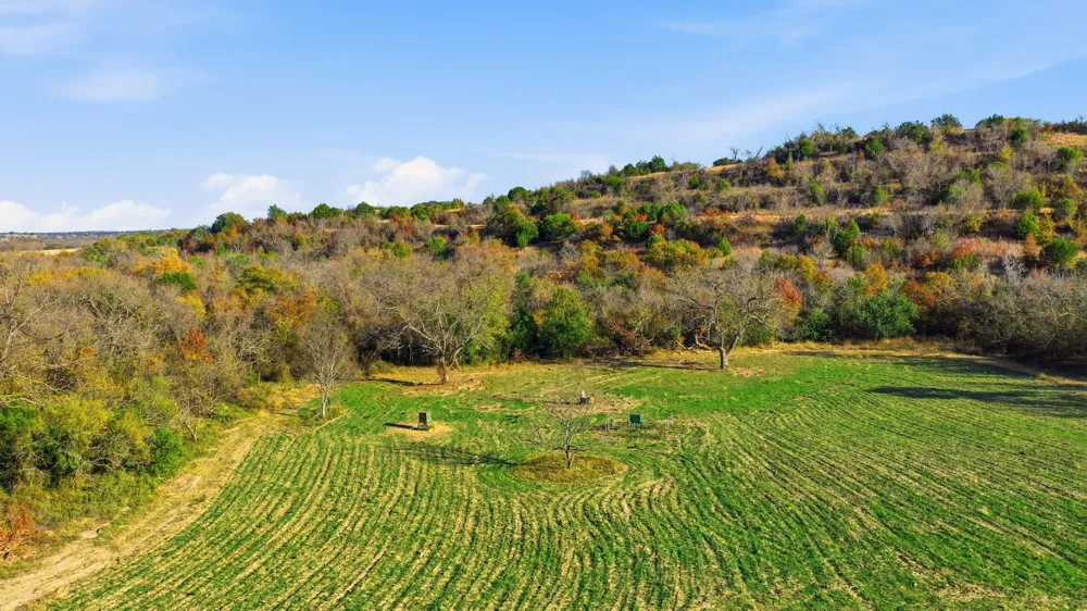 3035 CR 162 Stephenville, TX 76401