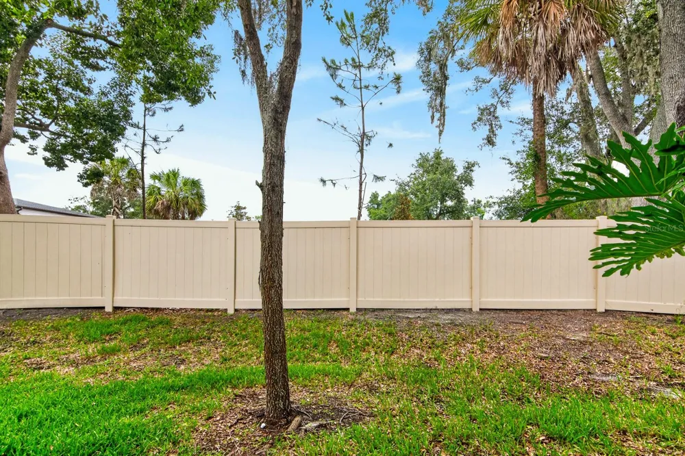 6717 CITRUS CREEK LANE Tampa, FL 33625