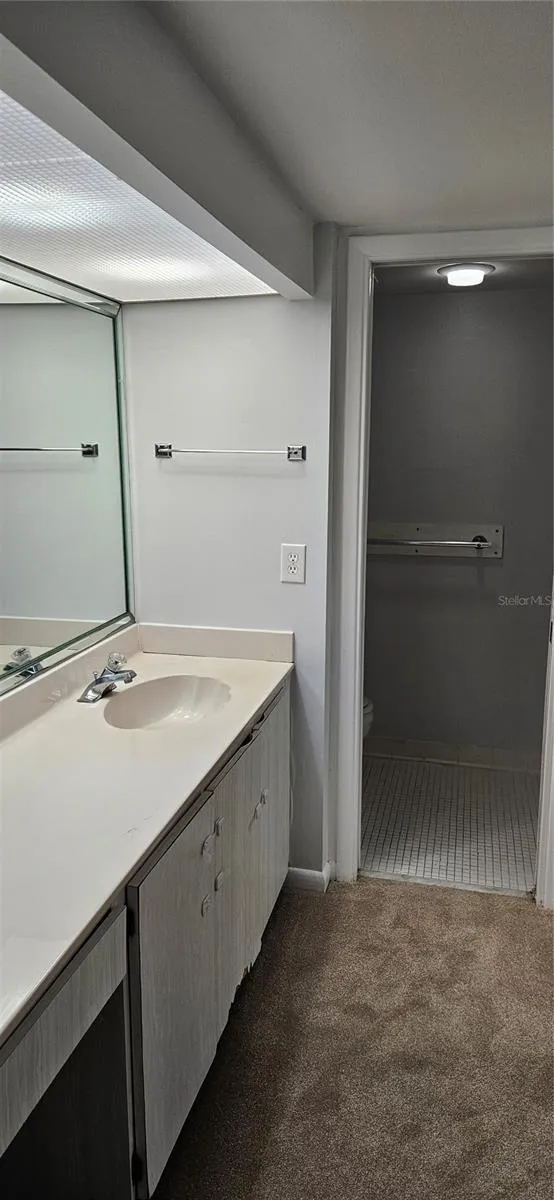 2617 COVE CAY DRIVE #311 Clearwater, FL 33760