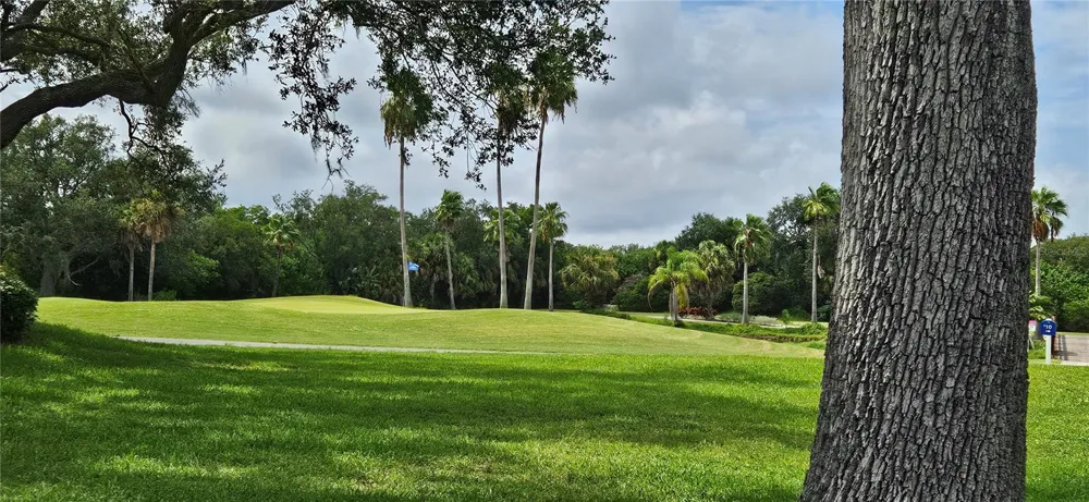 2617 COVE CAY DRIVE #311 Clearwater, FL 33760