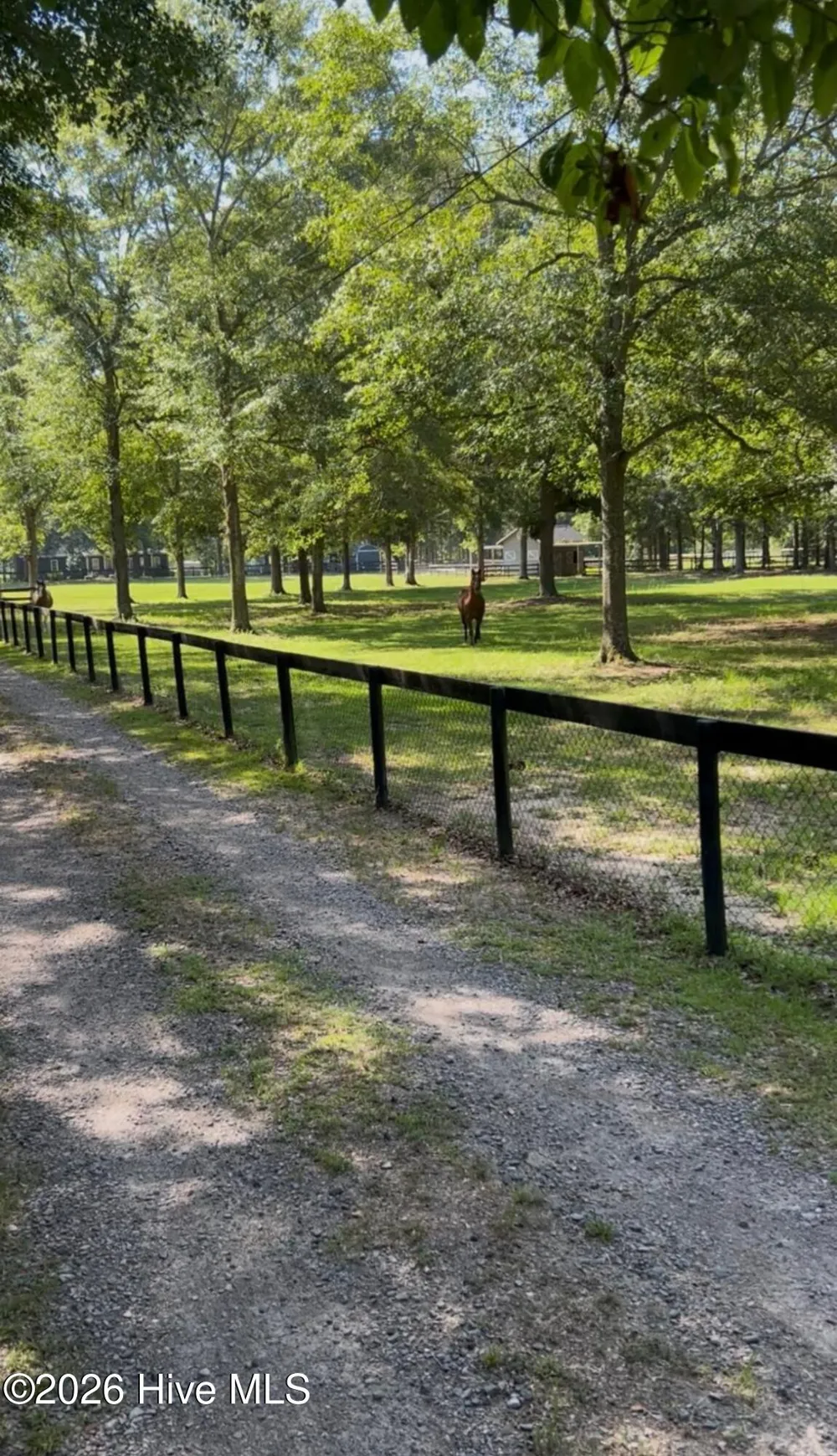 162 Boyd Pond Road Beech Island, SC 29842