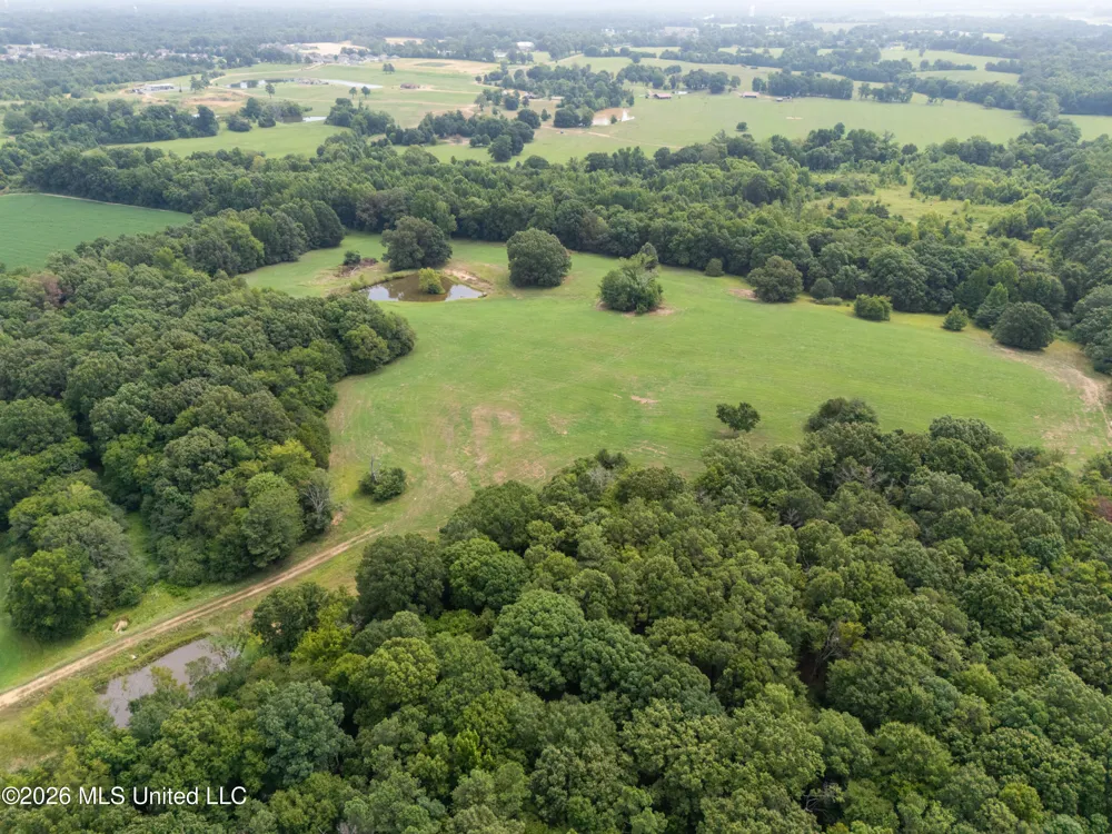 2300 Brownsferry Road Senatobia, MS 38668