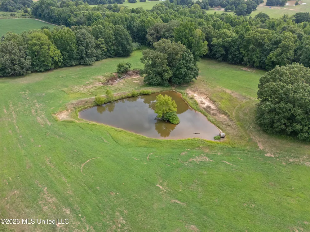 2300 Brownsferry Road Senatobia, MS 38668