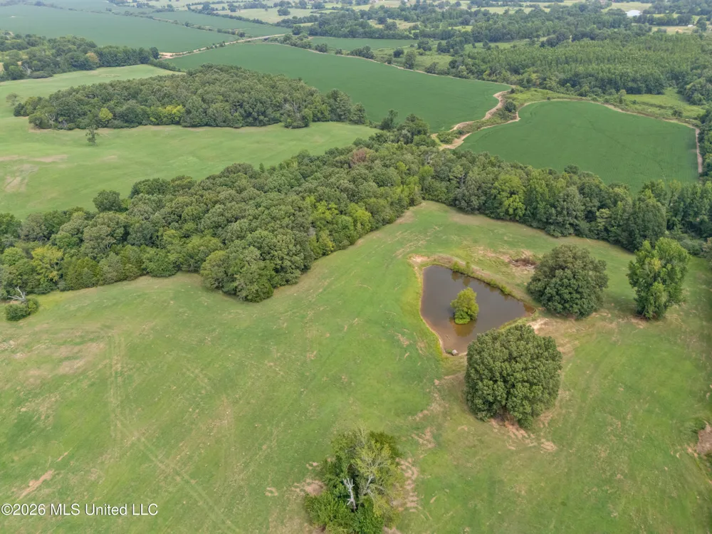 2300 Brownsferry Road Senatobia, MS 38668