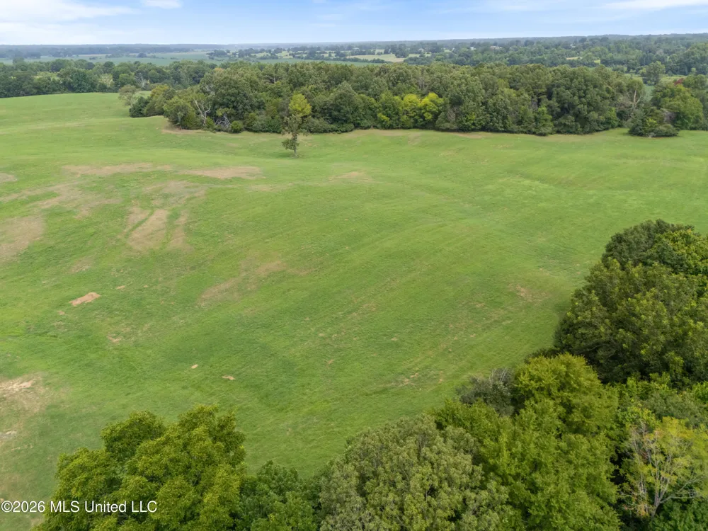 2300 Brownsferry Road Senatobia, MS 38668