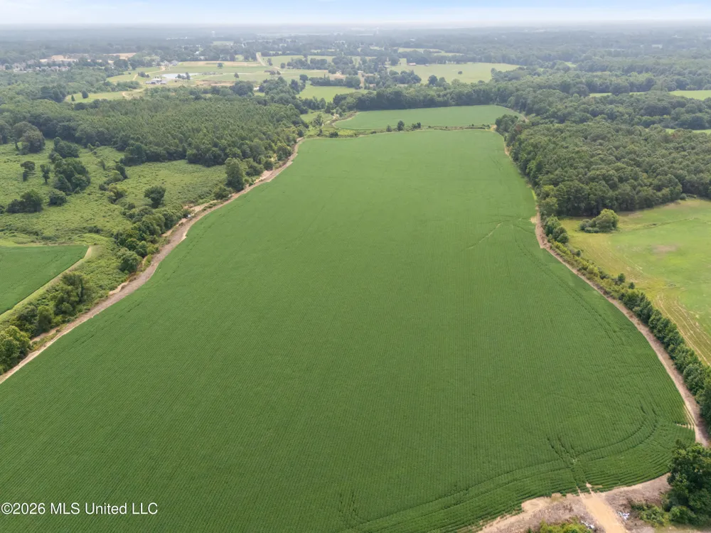 2300 Brownsferry Road Senatobia, MS 38668