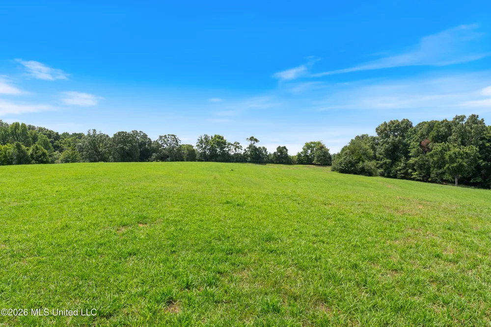 2300 Brownsferry Road Senatobia, MS 38668