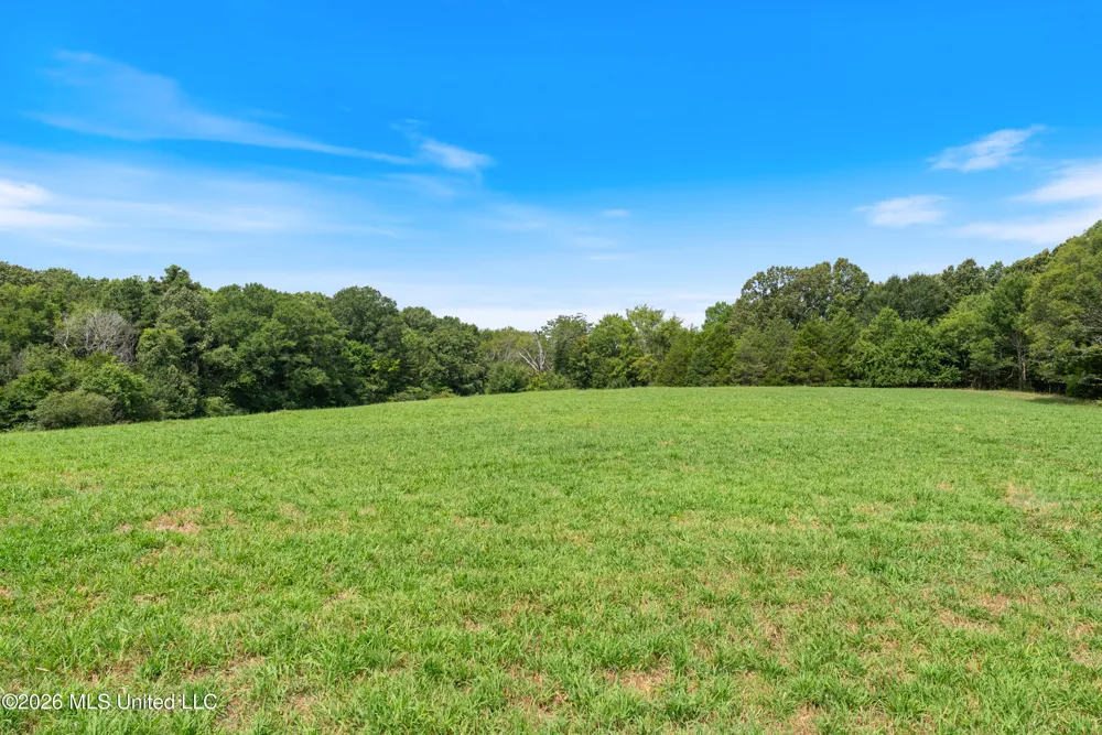 2300 Brownsferry Road Senatobia, MS 38668