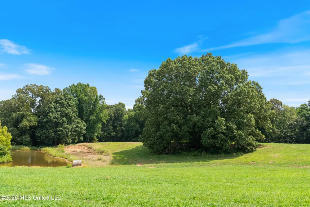 2300 Brownsferry Road Senatobia, MS 38668