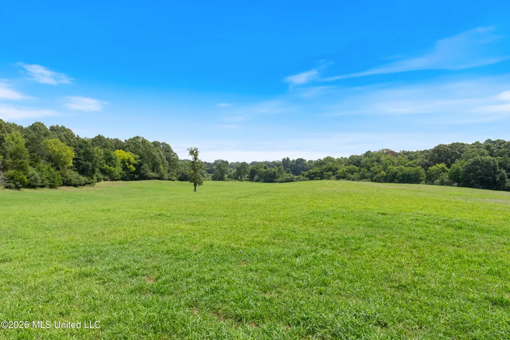 2300 Brownsferry Road Senatobia, MS 38668