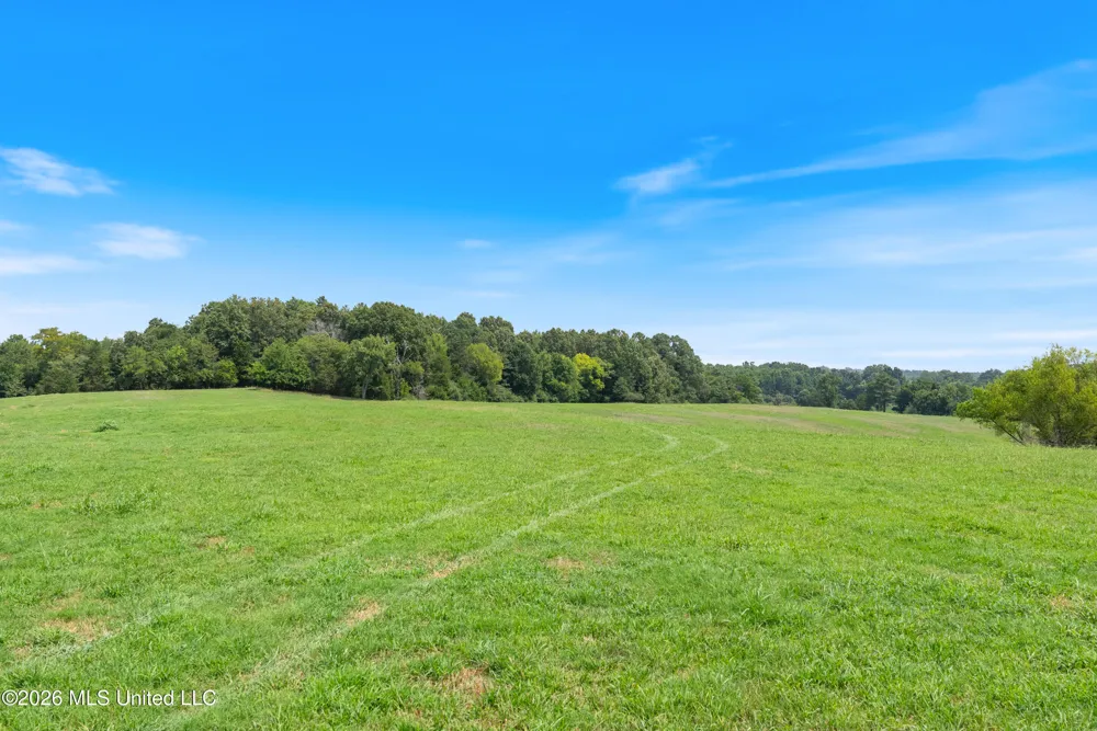 2300 Brownsferry Road Senatobia, MS 38668