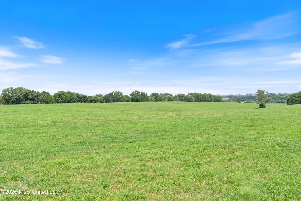 2300 Brownsferry Road Senatobia, MS 38668