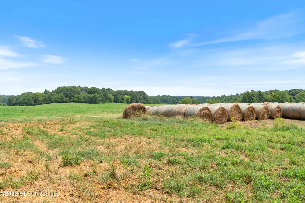 2300 Brownsferry Road Senatobia, MS 38668