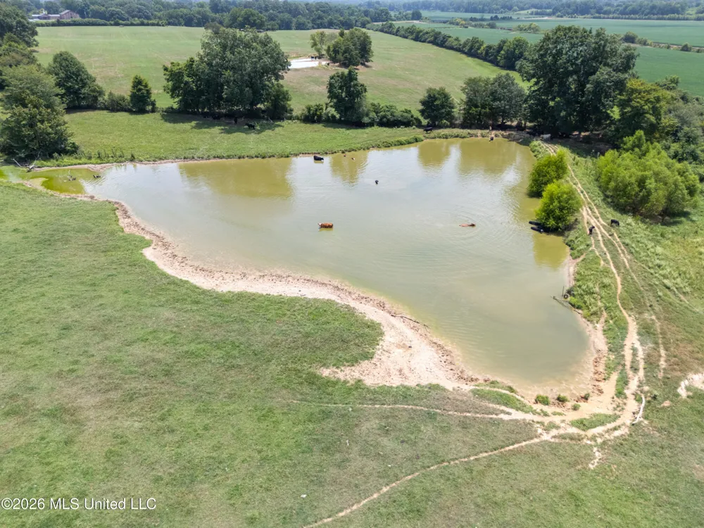 2300 Brownsferry Road Senatobia, MS 38668