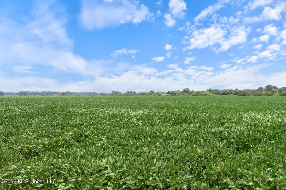 2300 Brownsferry Road Senatobia, MS 38668