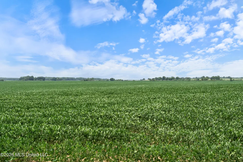 2300 Brownsferry Road Senatobia, MS 38668