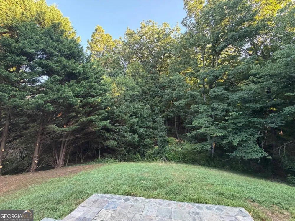 1105 Trumpet Vine CT SE Mableton, GA 30126