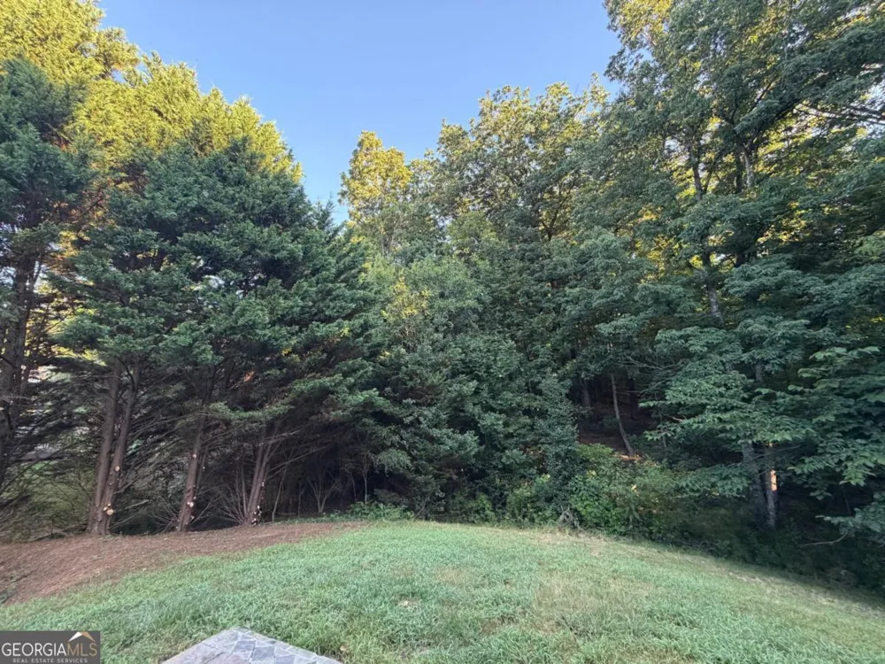 1105 Trumpet Vine CT SE Mableton, GA 30126