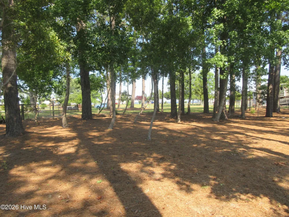 105 Mallard Court Grandy, NC 27939