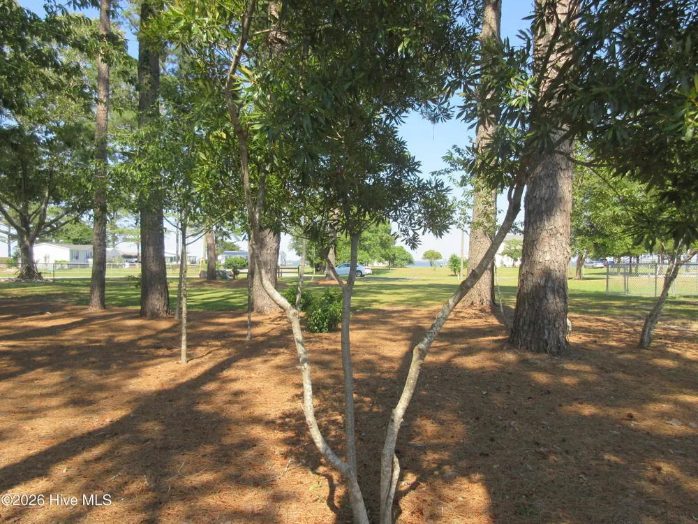 105 Mallard Court Grandy, NC 27939