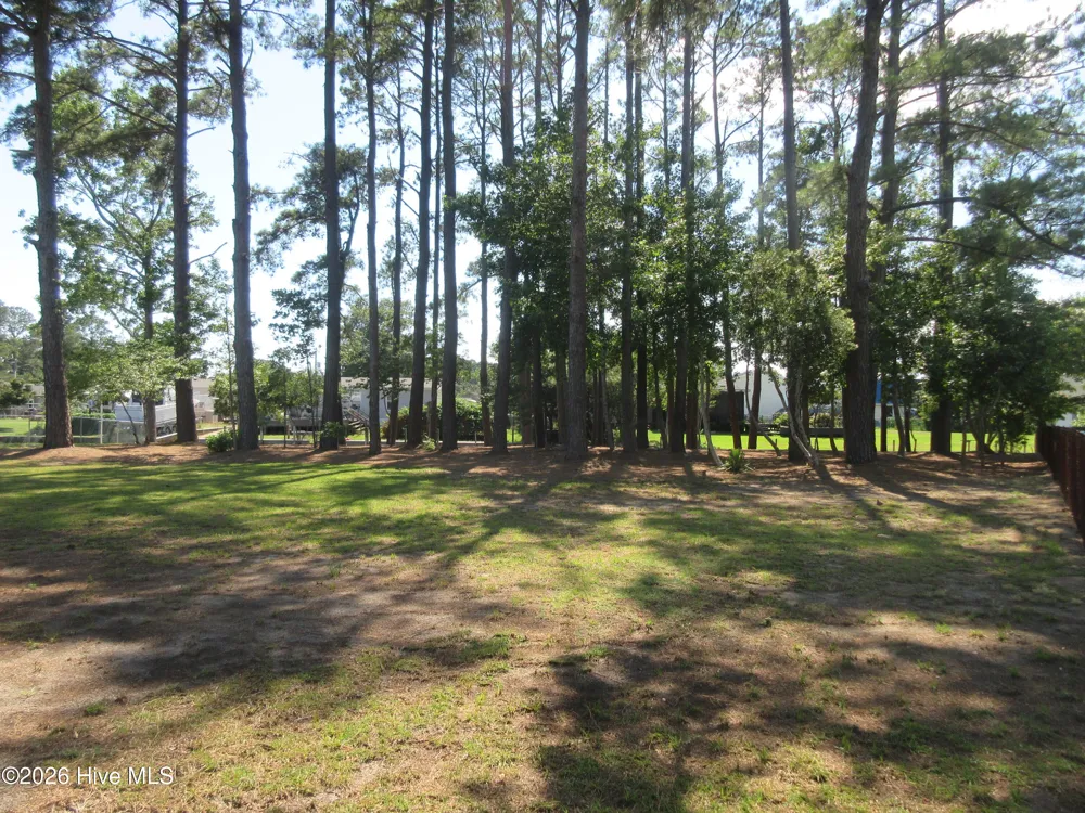 105 Mallard Court Grandy, NC 27939