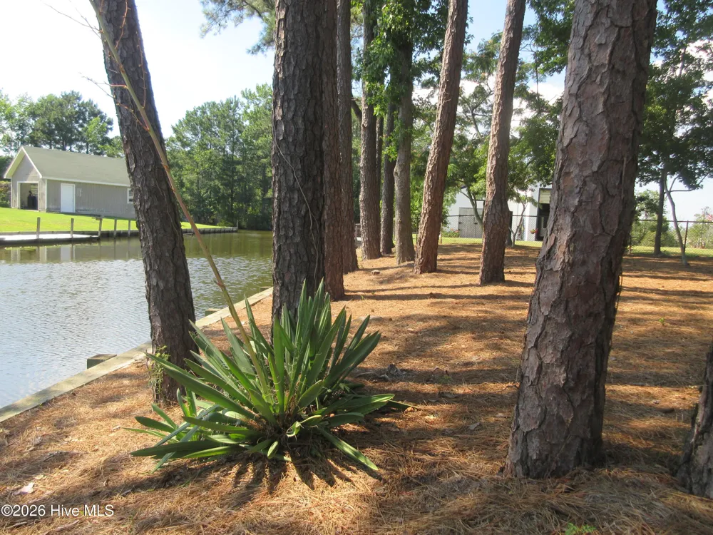 105 Mallard Court Grandy, NC 27939