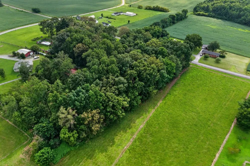 0 Old Blue Springs Rd Smithville, TN 37166