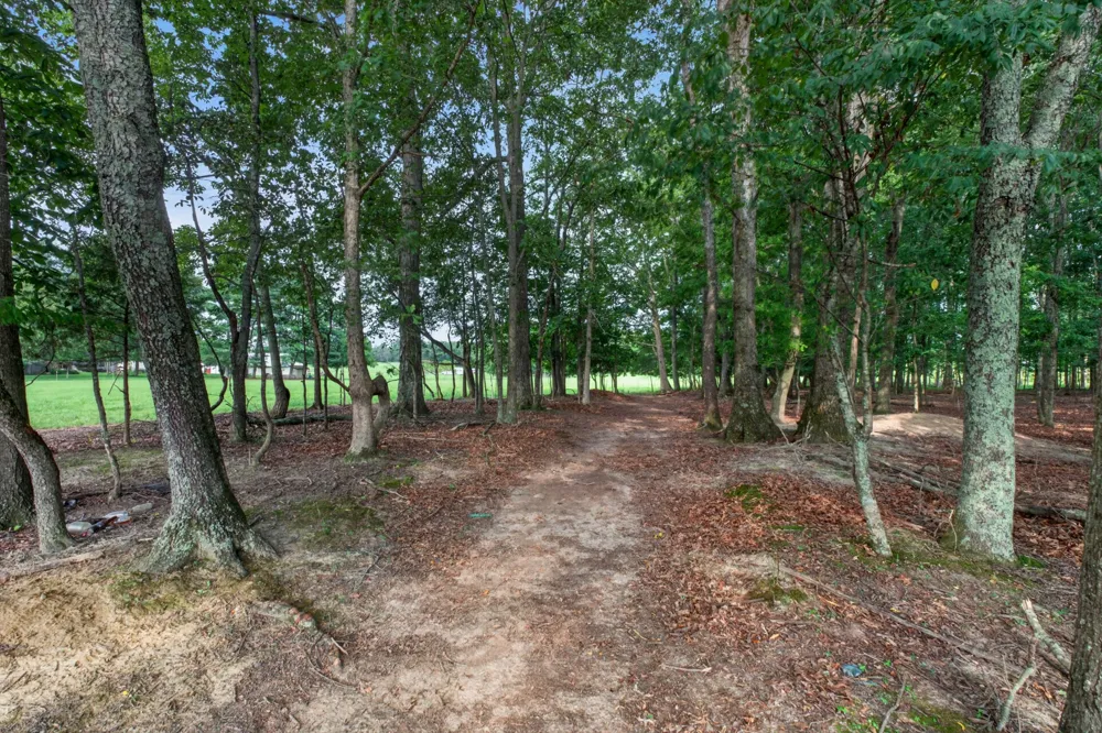 0 Old Blue Springs Rd Smithville, TN 37166