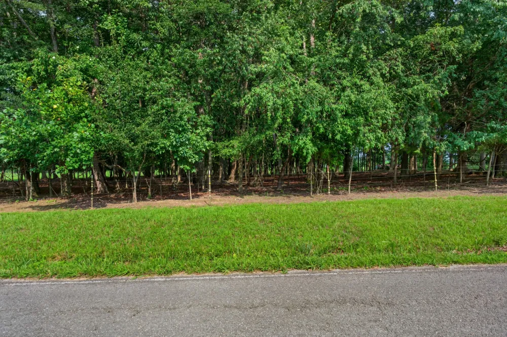 0 Old Blue Springs Rd Smithville, TN 37166