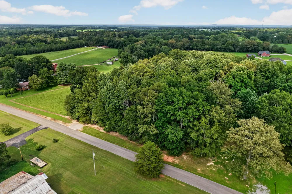 0 Old Blue Springs Rd Smithville, TN 37166