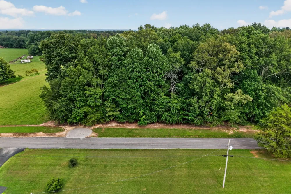 0 Old Blue Springs Rd Smithville, TN 37166