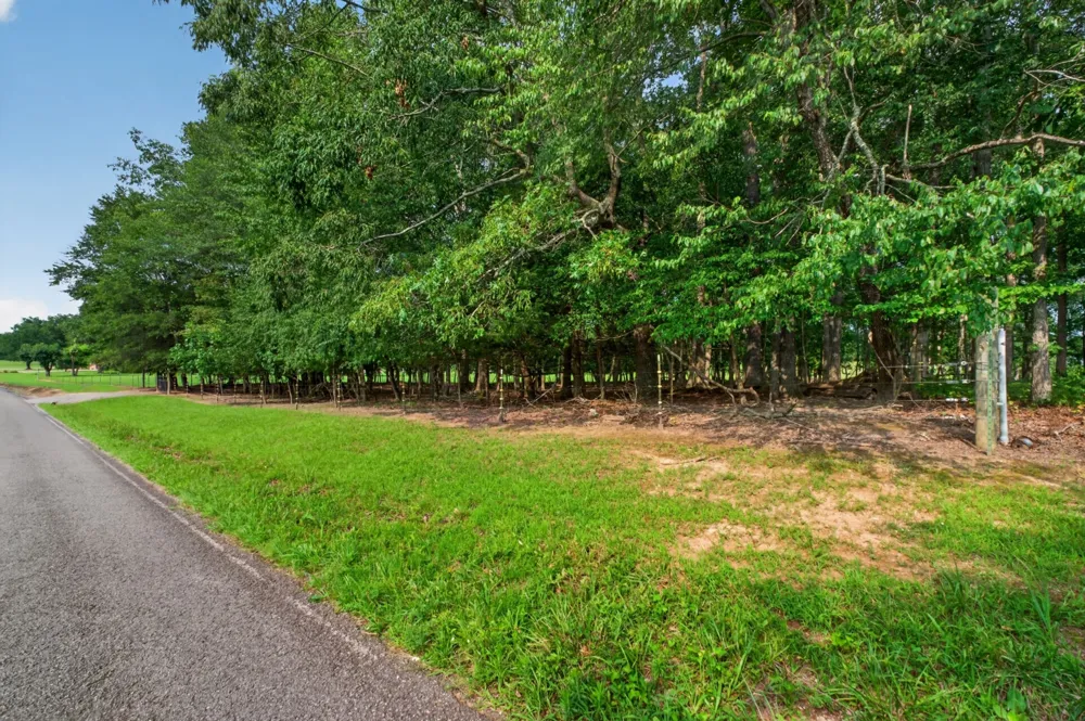 0 Old Blue Springs Rd Smithville, TN 37166