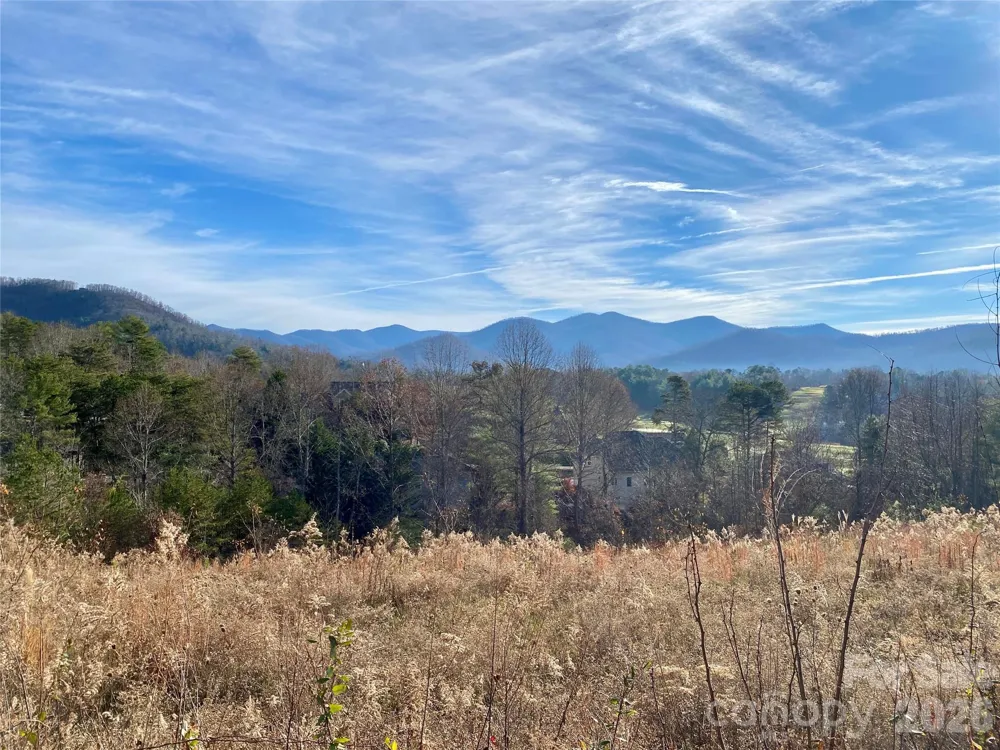 73 Union Chapel Road Weaverville, NC 28787