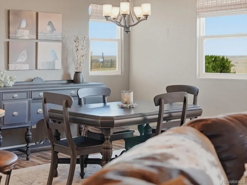 13424 Alex Place Carr, CO 80612