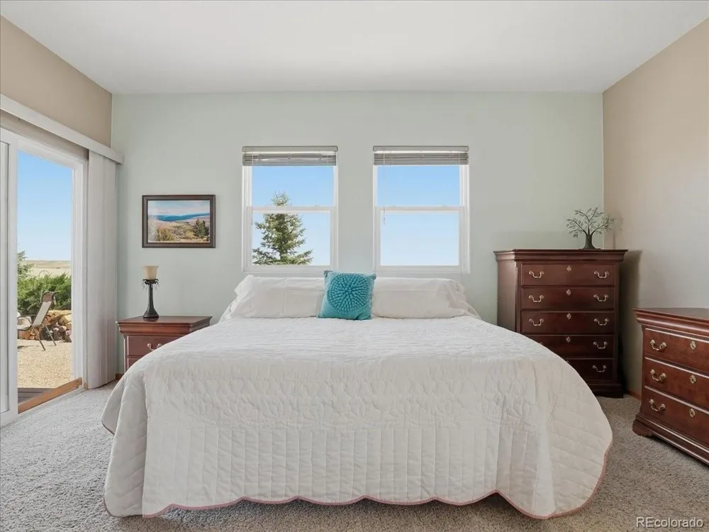 13424 Alex Place Carr, CO 80612