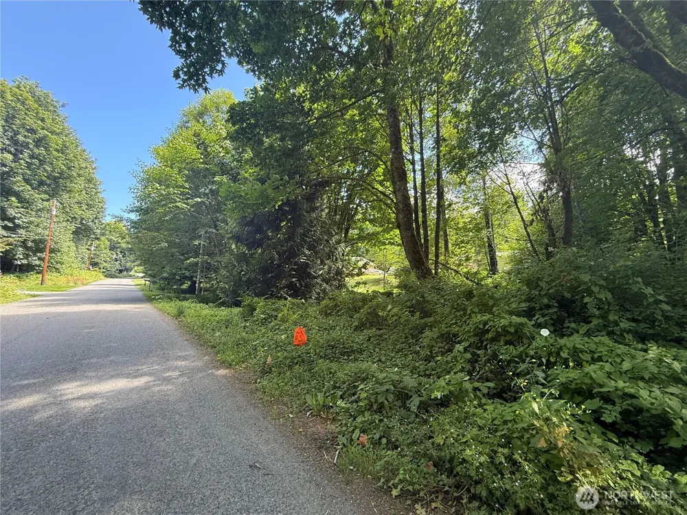 0 Cape Horn Drive Concrete, WA 98237
