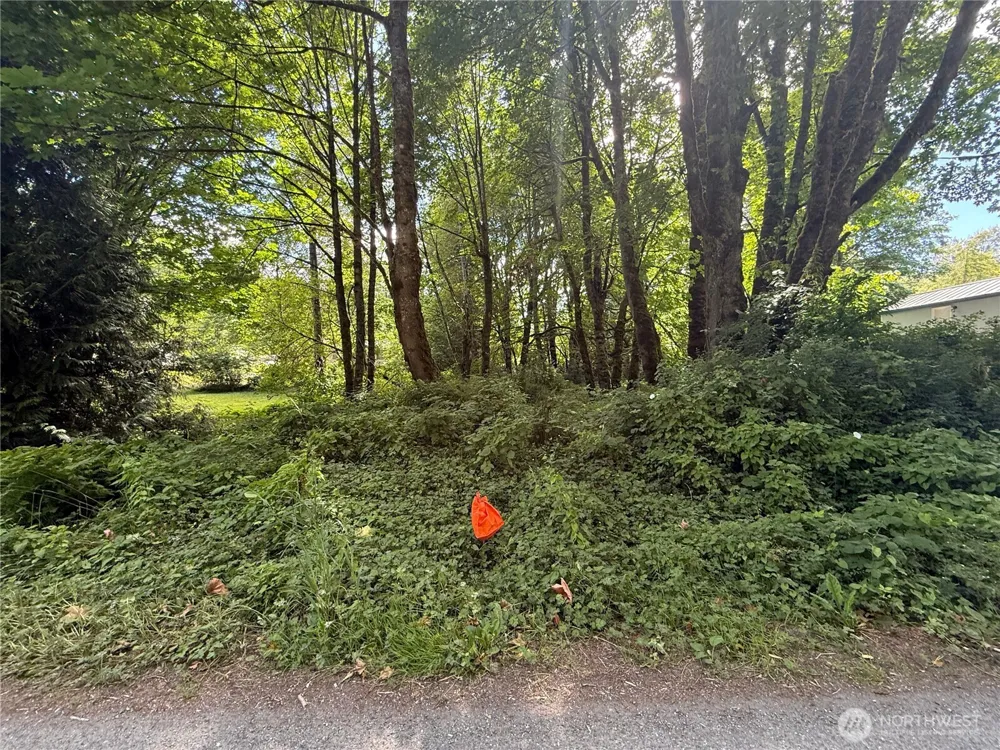 0 Cape Horn Drive Concrete, WA 98237