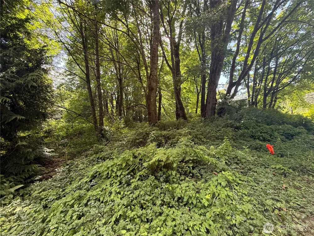 0 Cape Horn Drive Concrete, WA 98237