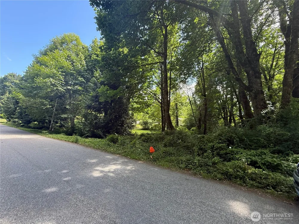 0 Cape Horn Drive Concrete, WA 98237