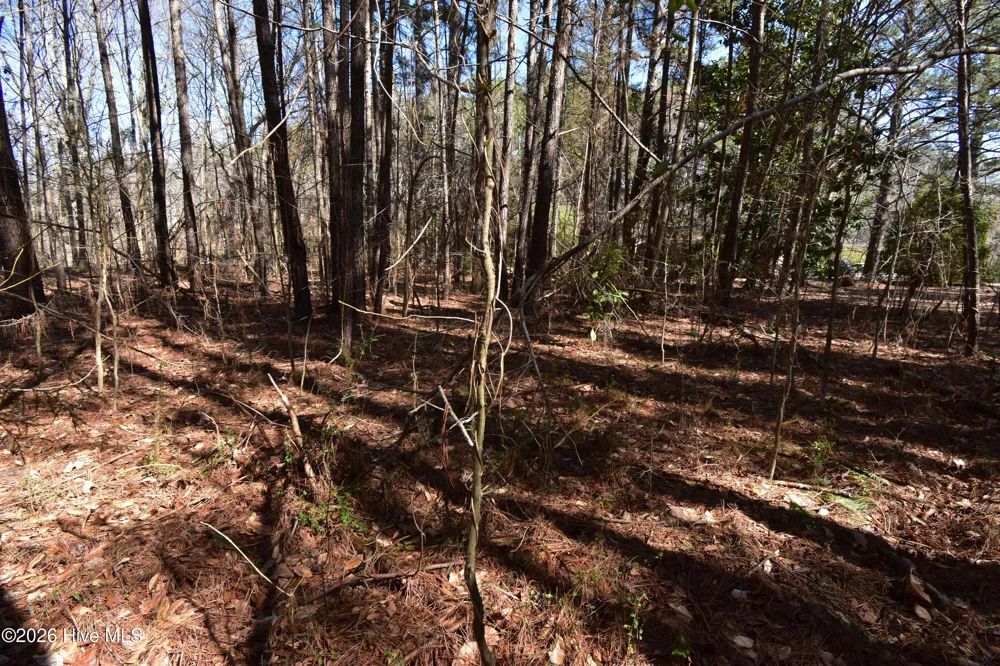 4 Dobbs Street Halifax, NC 27839