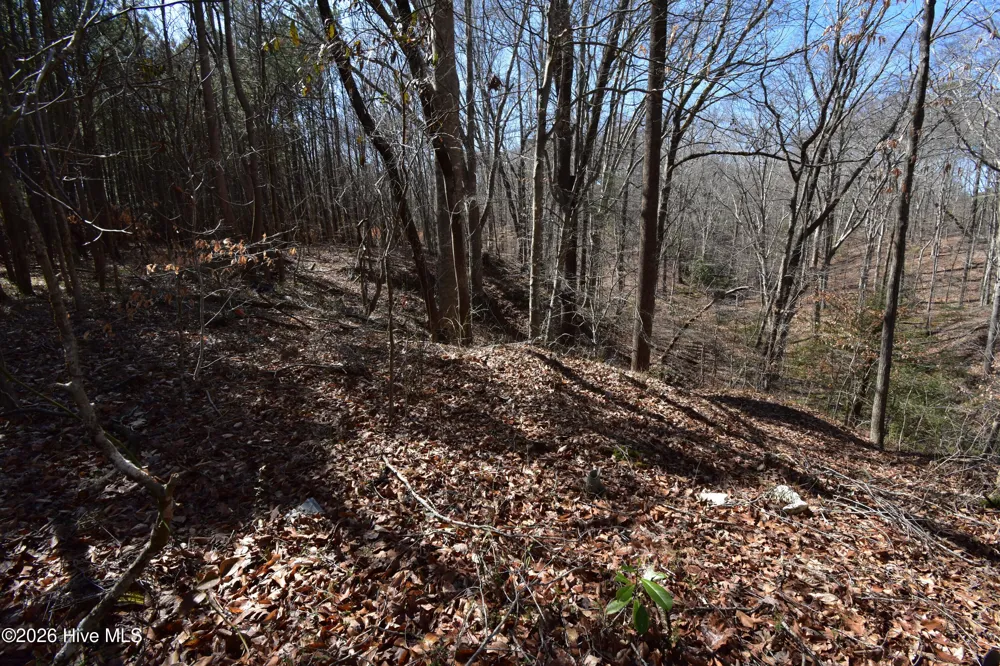 4 Dobbs Street Halifax, NC 27839