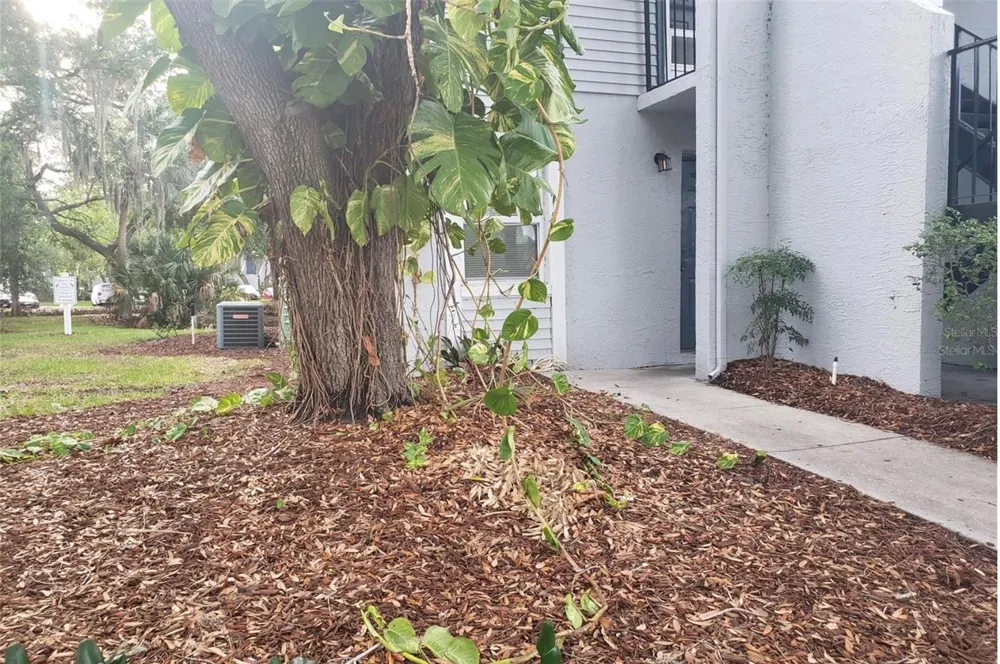 7100 WATERSIDE DRIVE Tampa, FL 33617