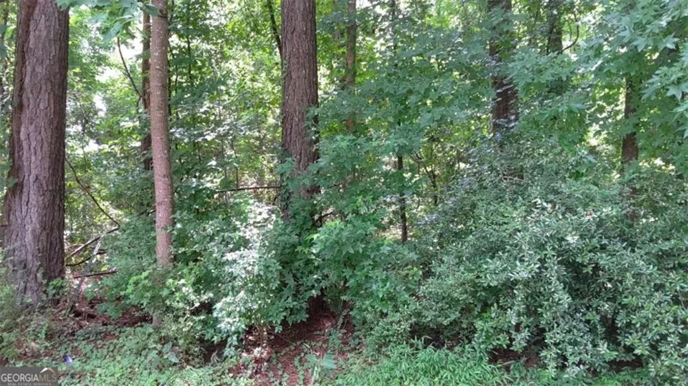 0 Cherie Court South Fulton, GA 30349