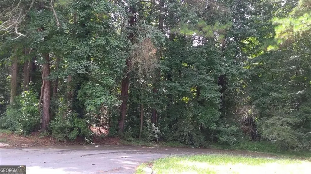 0 Cherie Court South Fulton, GA 30349