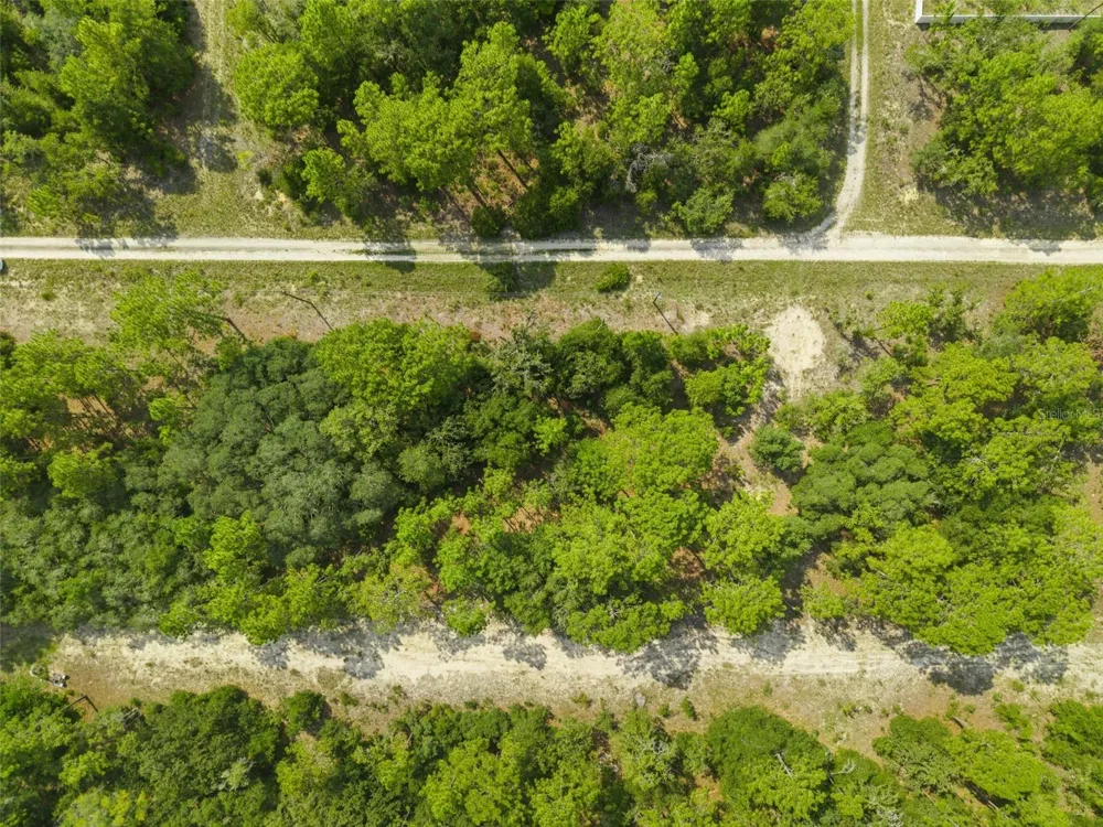 NE 156TH CT Williston, FL 32696