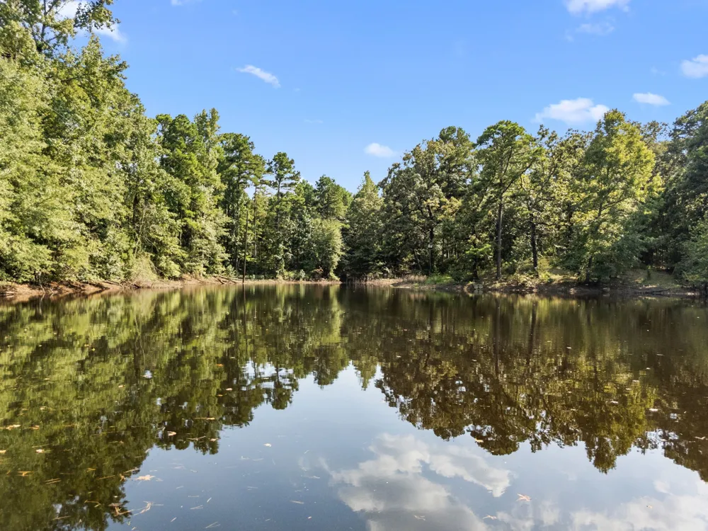 1081 County Road 3875 Mineola, TX 75773