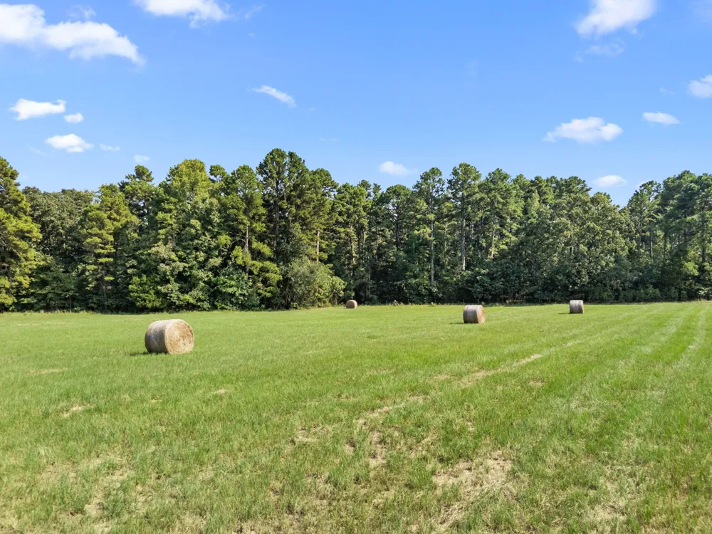 1081 County Road 3875 Mineola, TX 75773